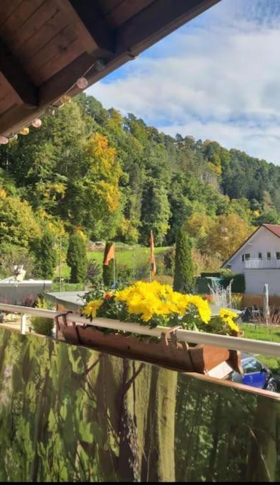 Ferienwohnung - Gruene Oase Stockach Esterno foto