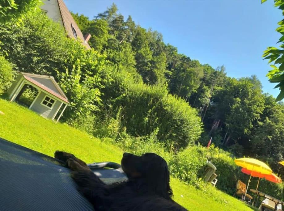 Ferienwohnung - Gruene Oase Stockach Esterno foto